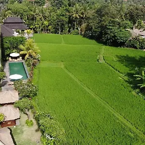 Byasa Guest house Ubud (Bali)